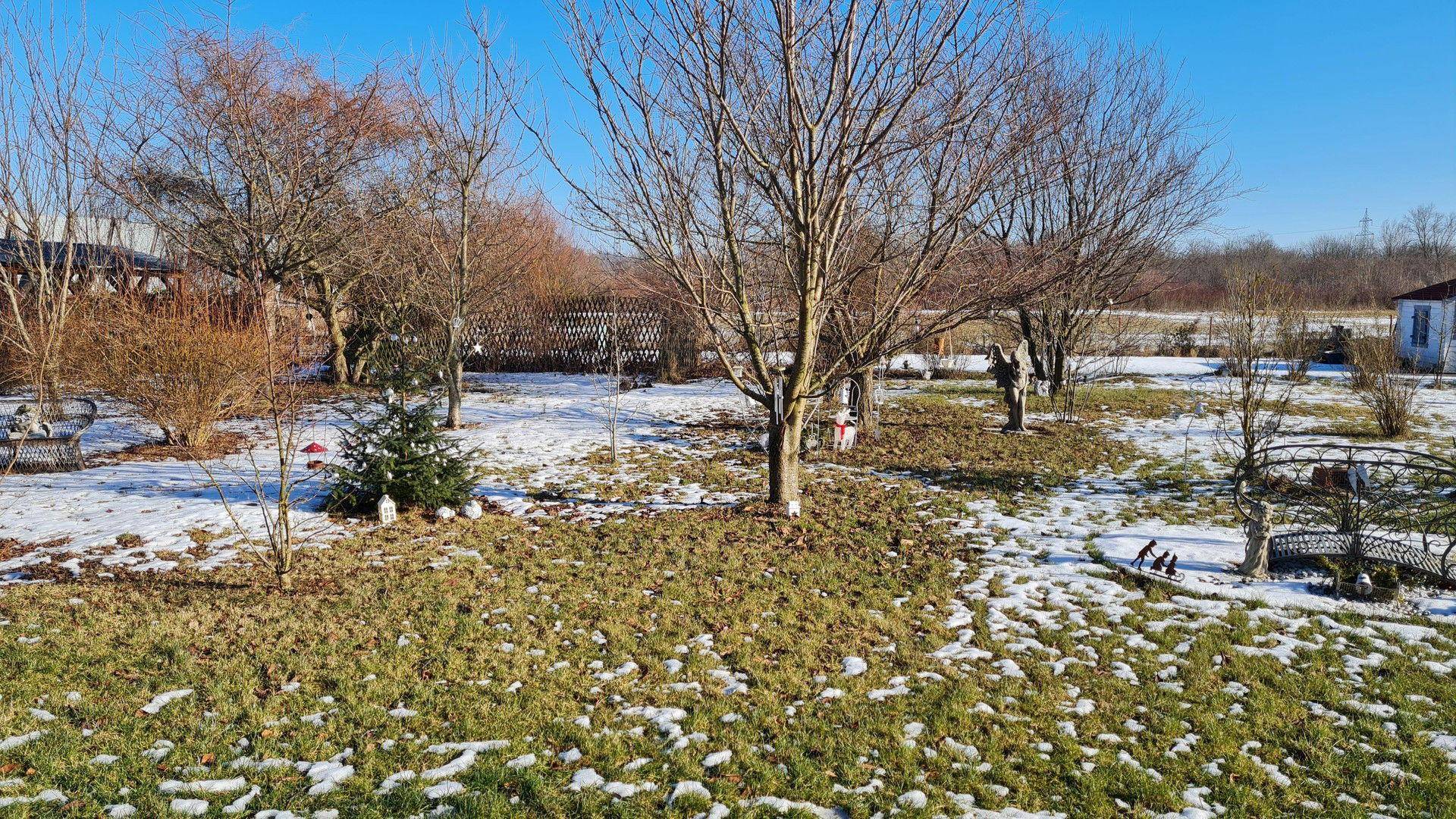 Winterlicher Gartenbereich mit kahlen Bäumen und Schneeresten auf dem Rasen unter blauem Himmel.