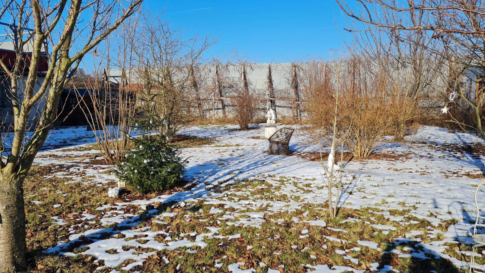 Winterlicher Garten mit Schneeresten, kahlen Sträuchern und einem Zaun im Hintergrund unter blauem Himmel.