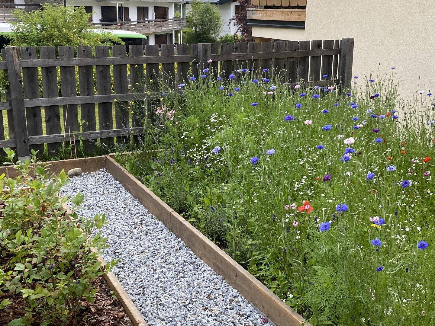 Naturnaher Gartenbereich mit bunten Wildblumen und Holzzaun.