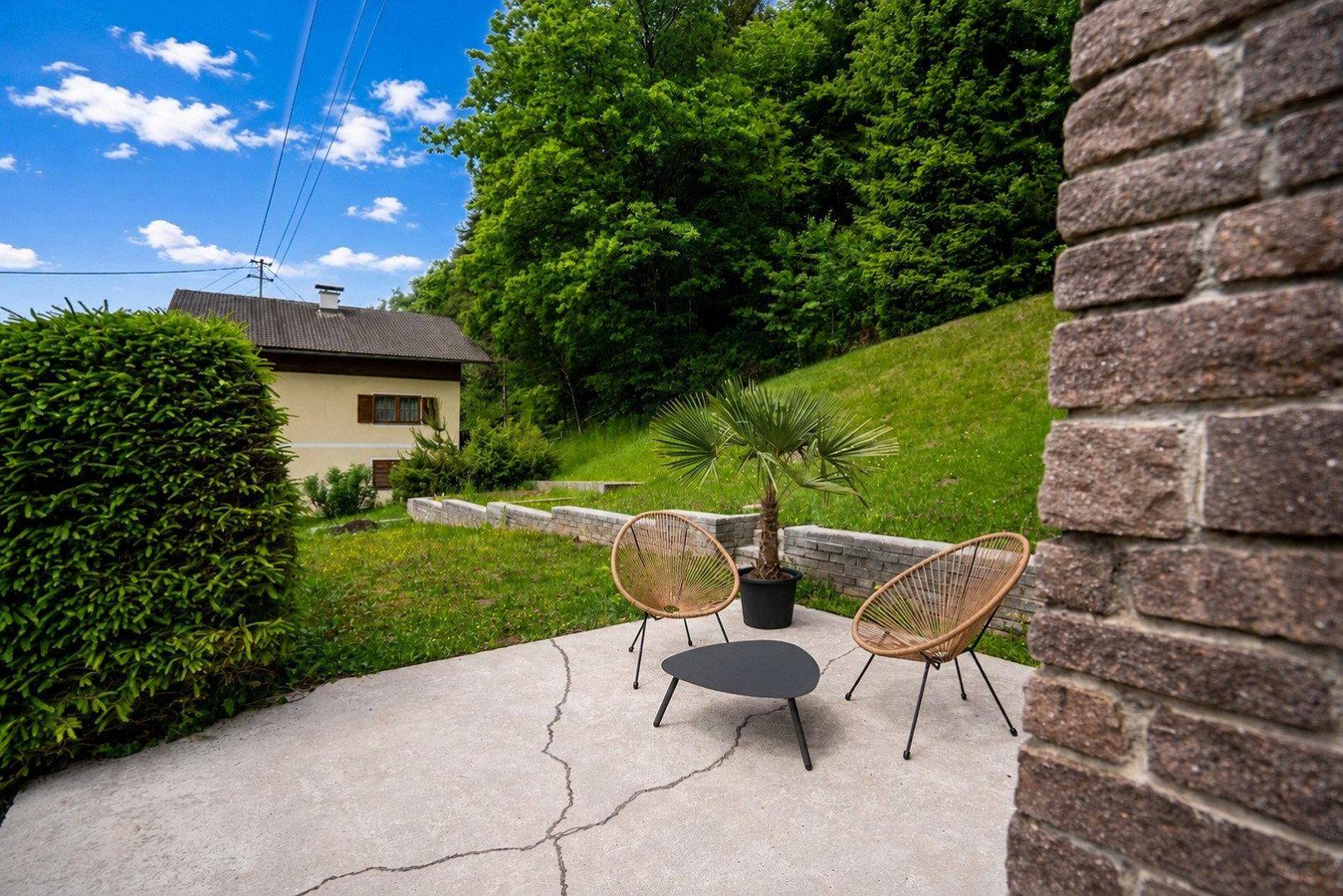 Gemütliche Terrasse mit Korbmöbeln und einem kleinen Palmenbaum, umgeben von Grün.