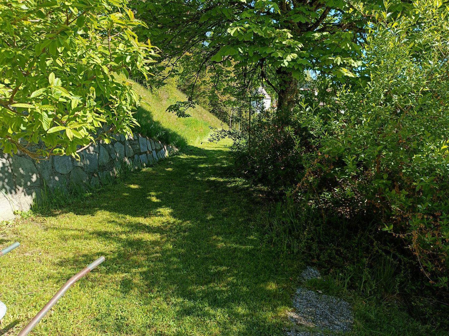 Grüner Hang mit einer Steinmauer und üppiger Vegetation unter einem Baum.