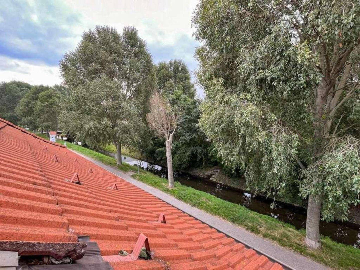 Dachfenster Bach