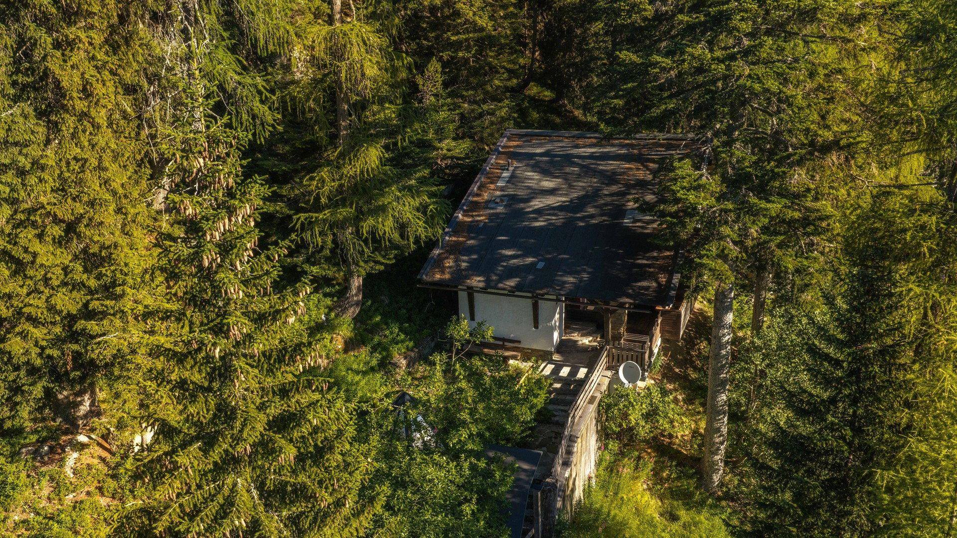 Luftaufnahme eines kleinen Hauses, umgeben von dichtem Wald und hohen Bäumen.