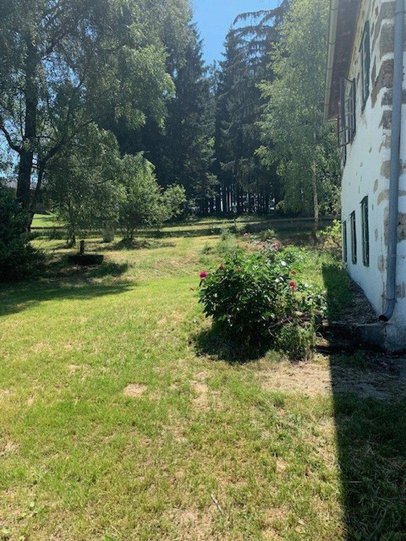 Weitläufiger Gartenbereich mit Rasenfläche, Bäumen und blühenden Sträuchern neben dem Gebäude.