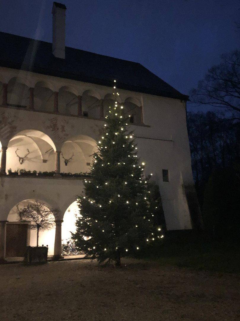 Historisches Gebäude bei Nacht mit einem beleuchteten Weihnachtsbaum im Innenhof.