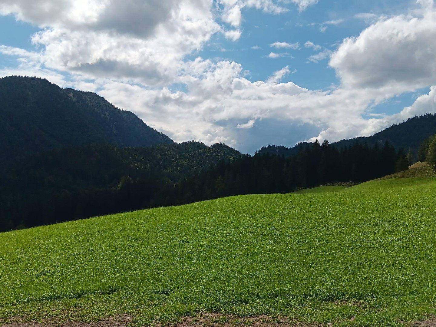 unberührte Natur nach Westen
