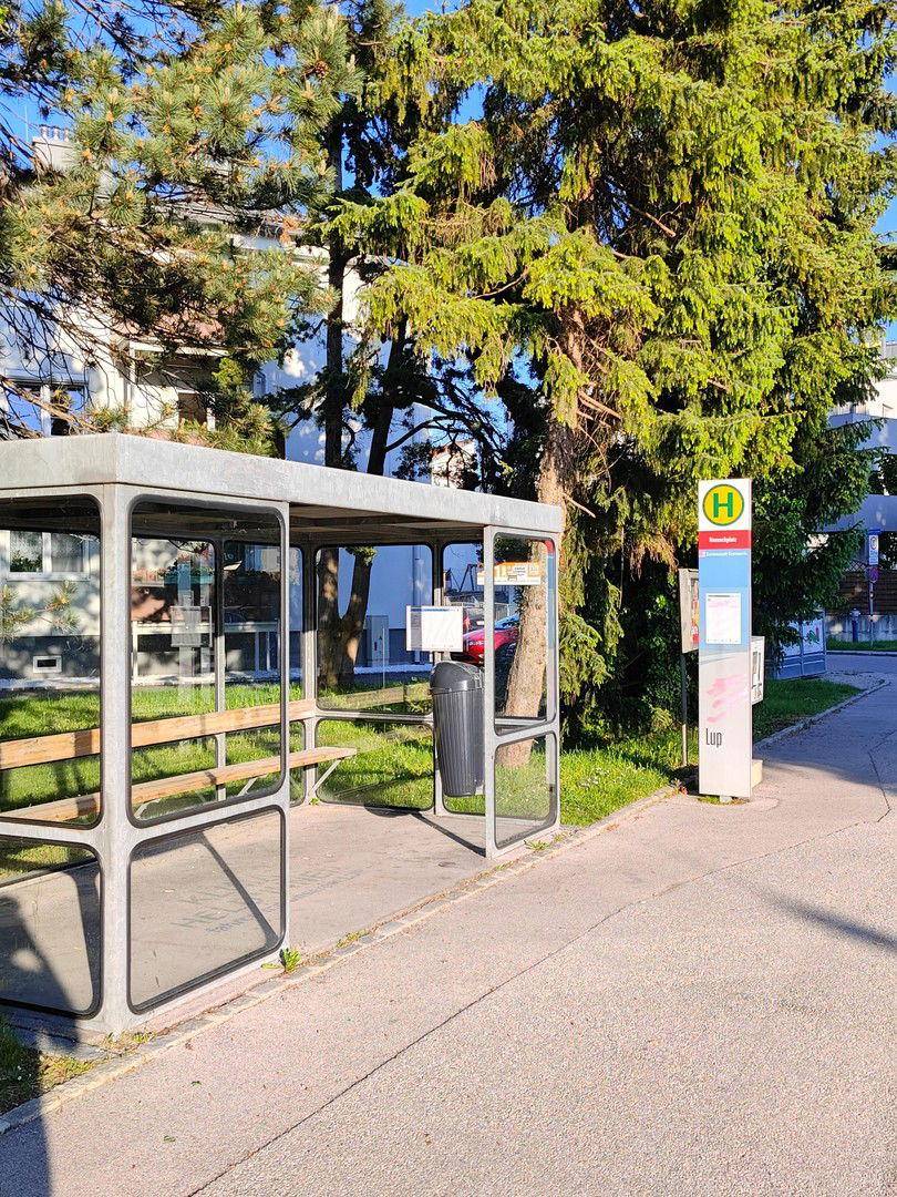 Bushaltestelle Hanuschplatz