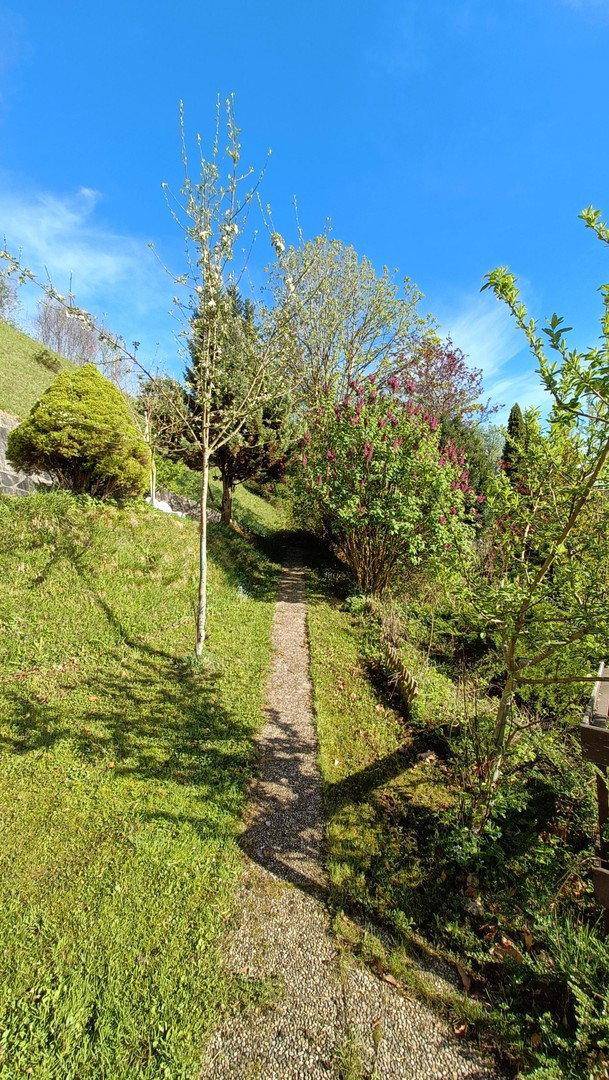 Sonniger Gartenweg schlängelt sich durch eine grüne Landschaft mit verschiedenen Bäumen und Sträuchern.