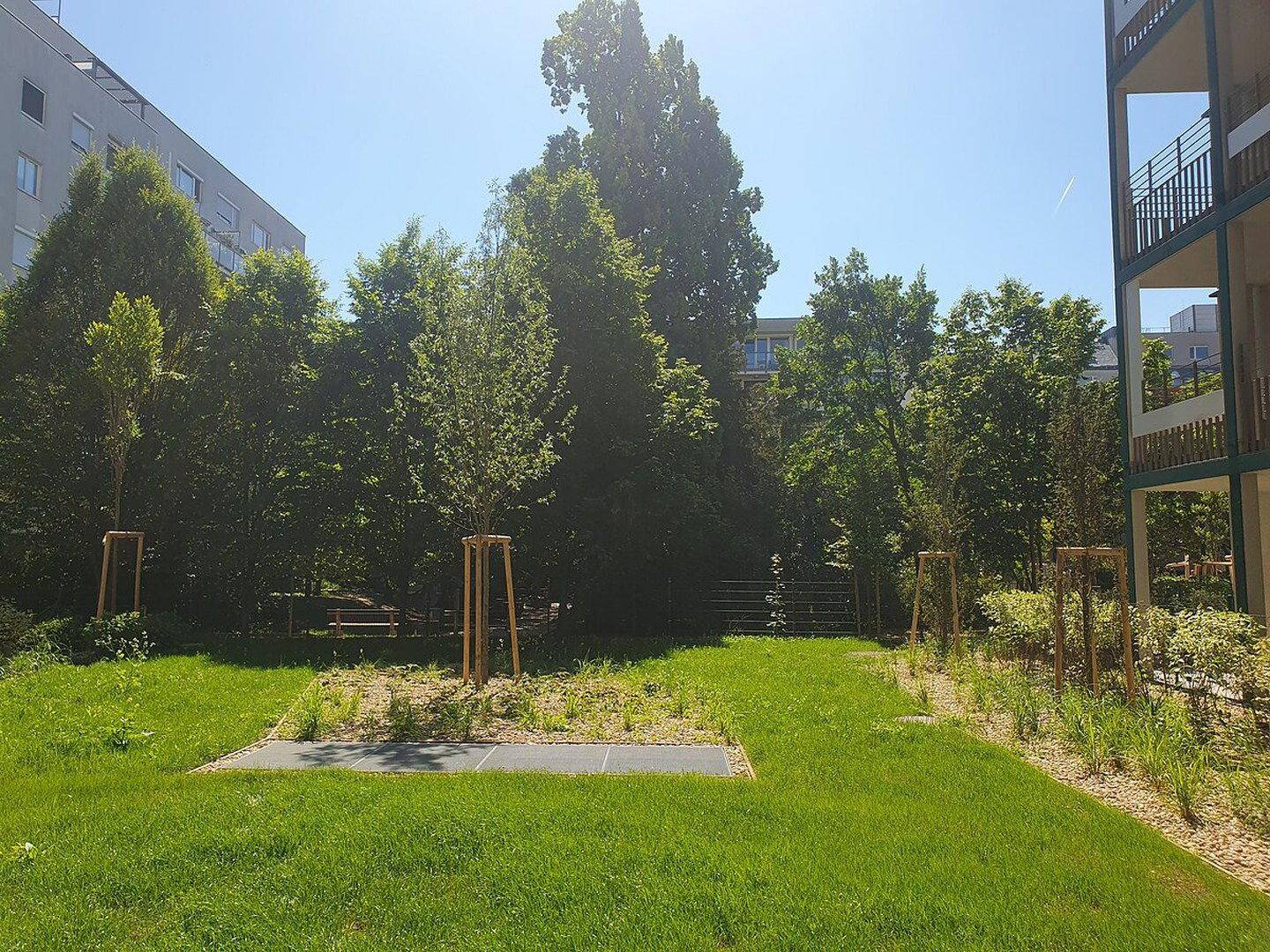 Gepflegter Gemeinschaftsgarten mit Rasenflächen, jungen Bäumen und Wegen zwischen den Gebäuden.