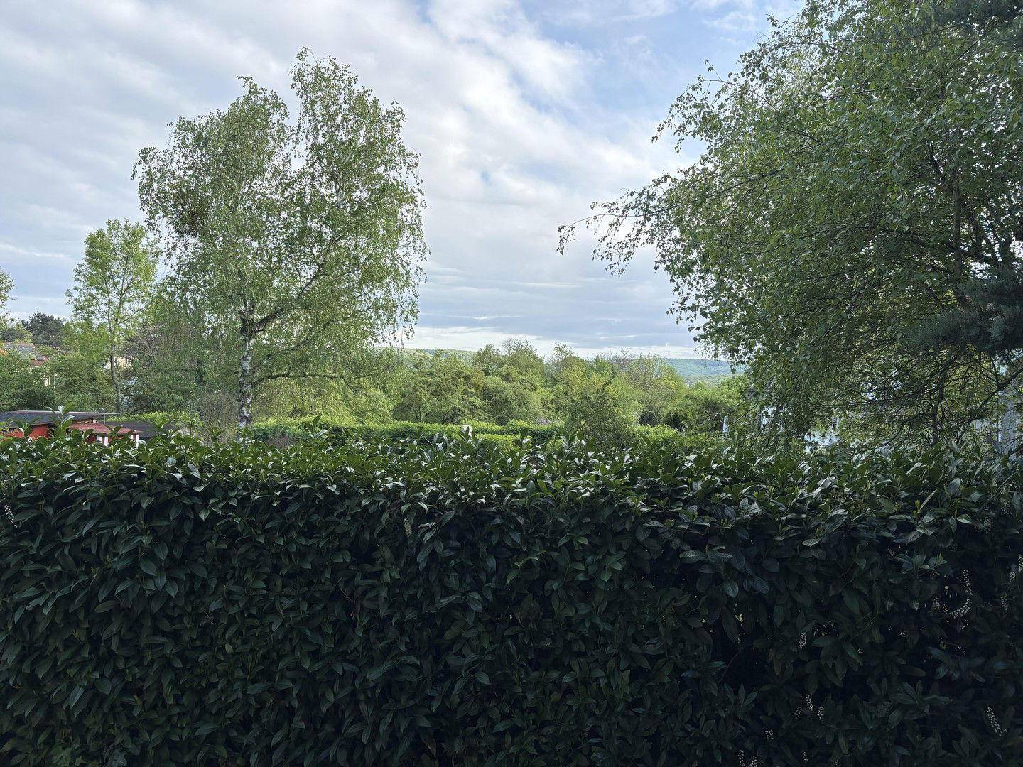 Blick von der Terrasse