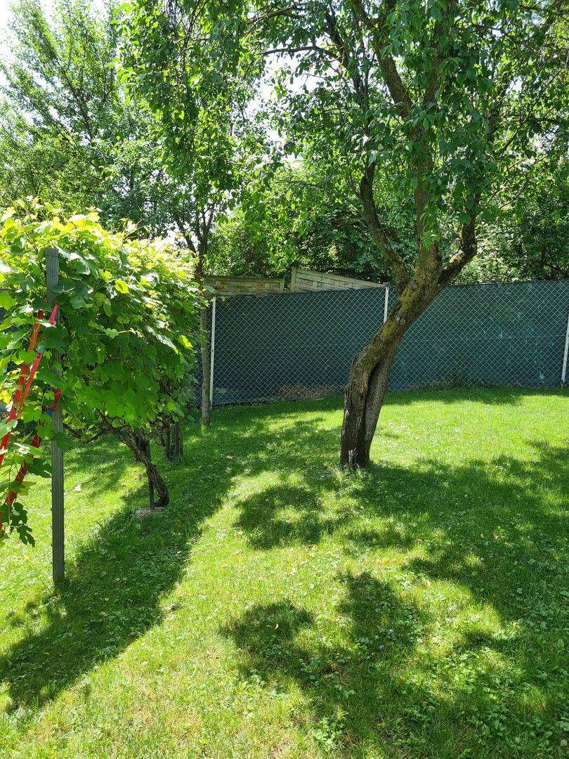 Garten (Bild 4)