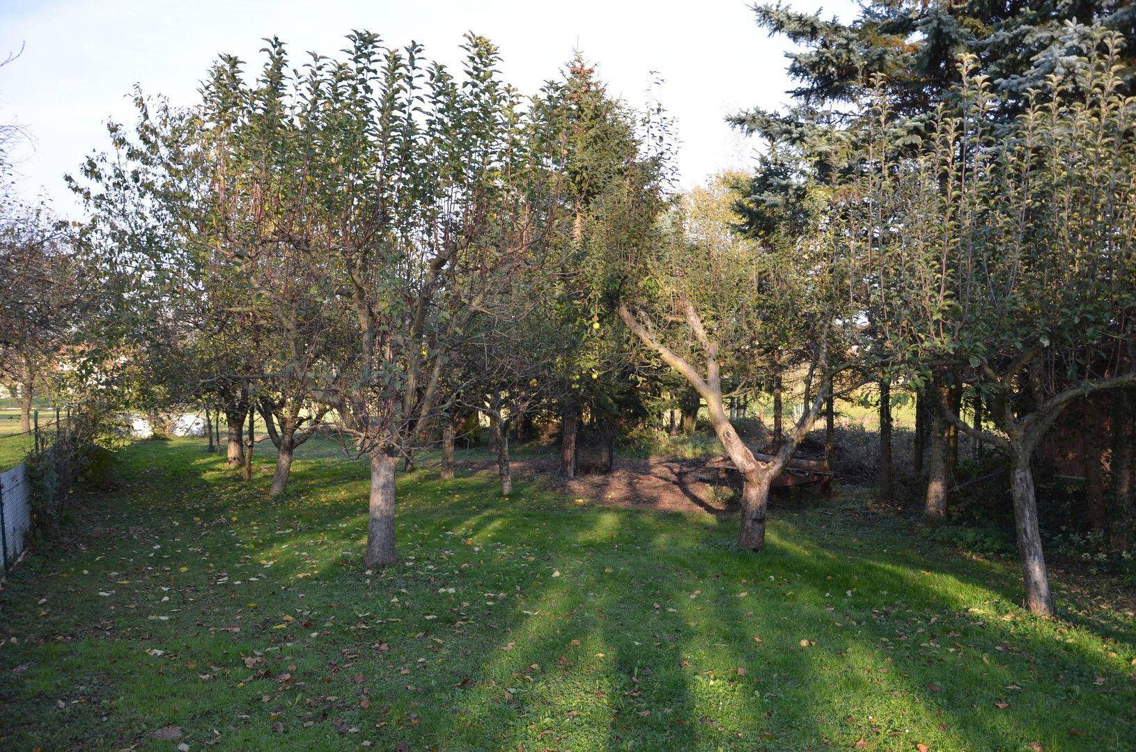 Garten unten