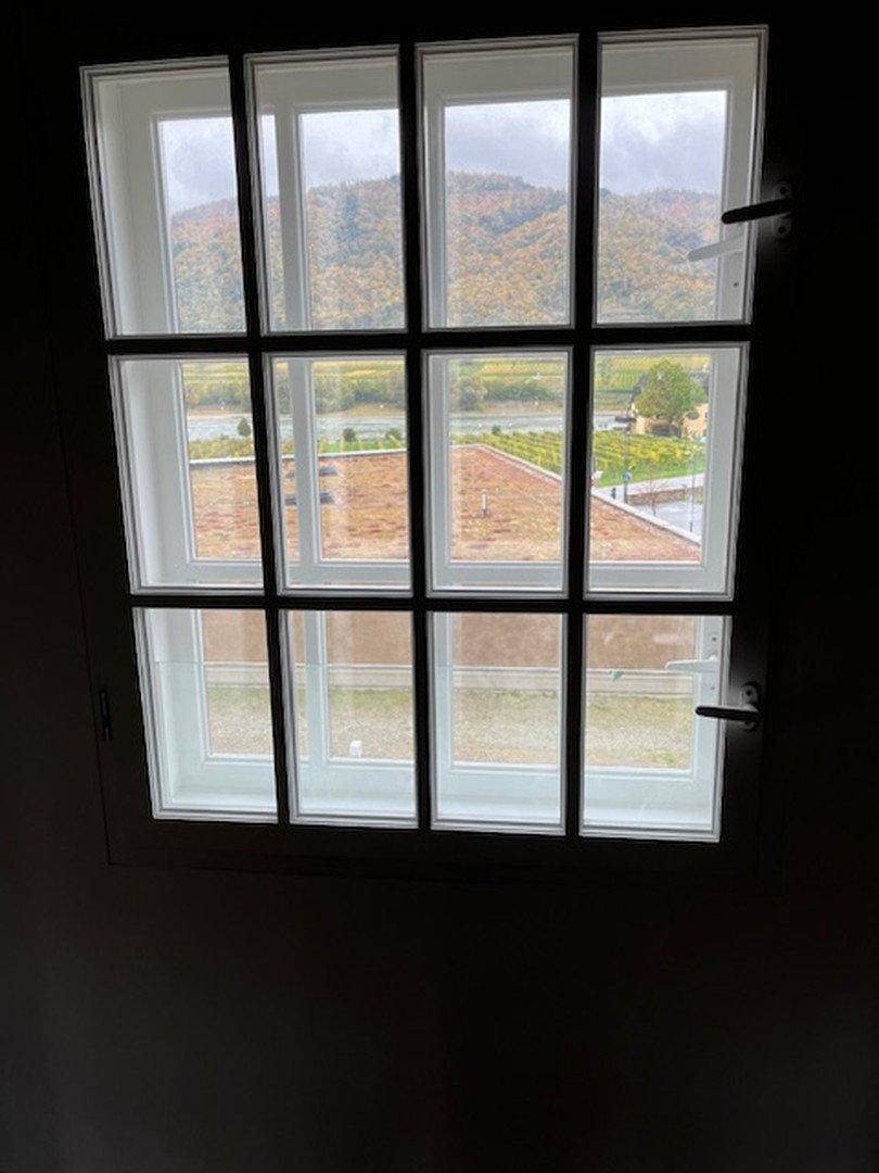Fenster mit Blick auf eine grüne Landschaft, einen Fluss und umliegende Gebäude.