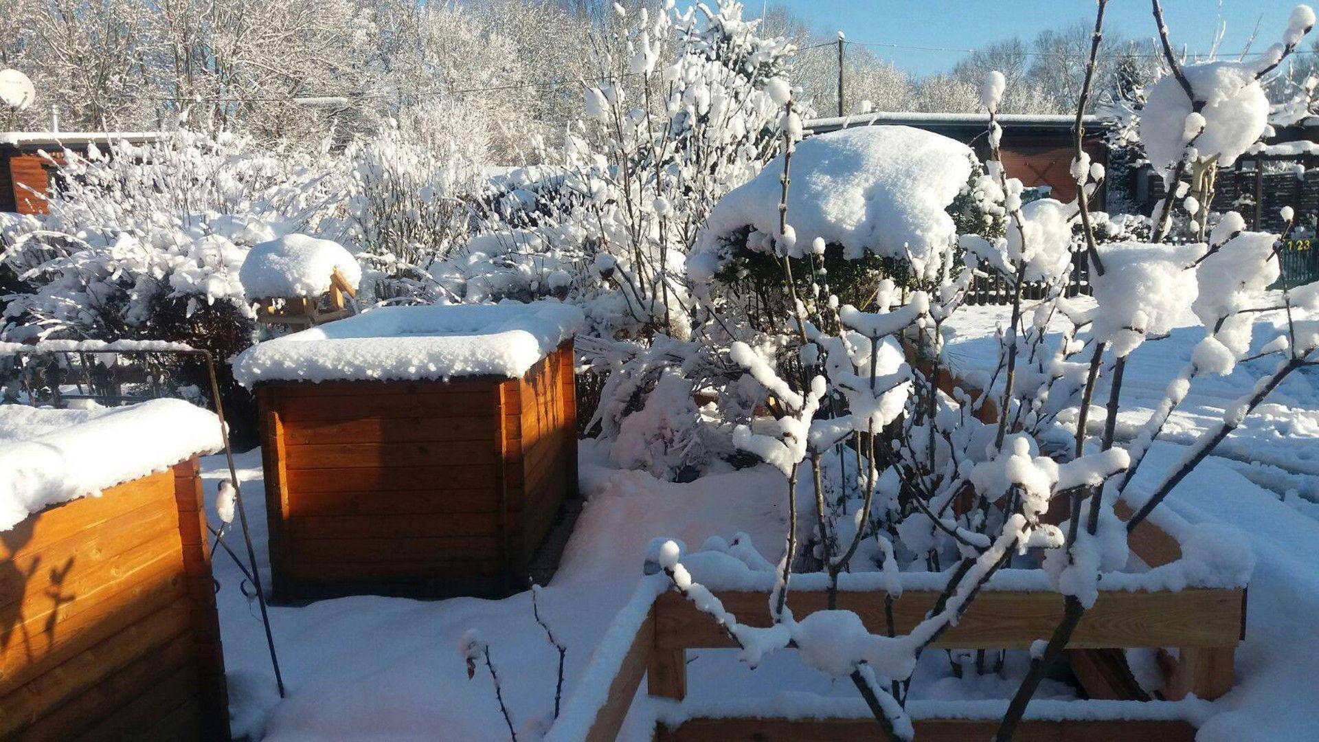Winter-Impressionen