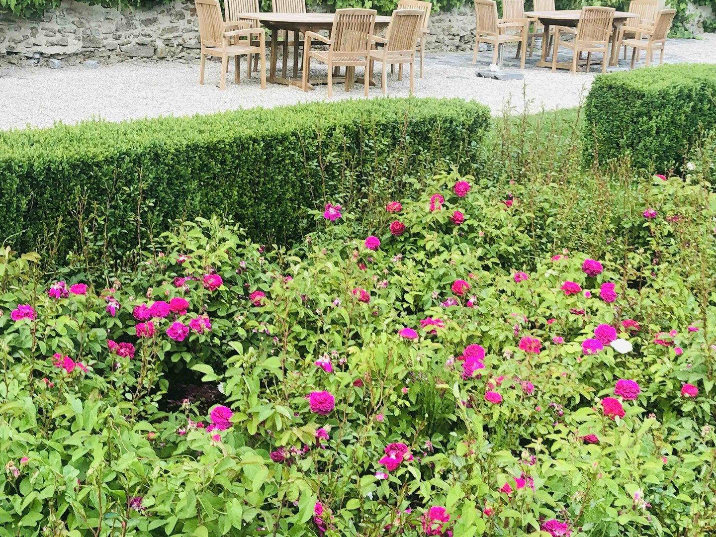 Blühender Rosengarten mit pinken Blumen und einem Essbereich im Freien.