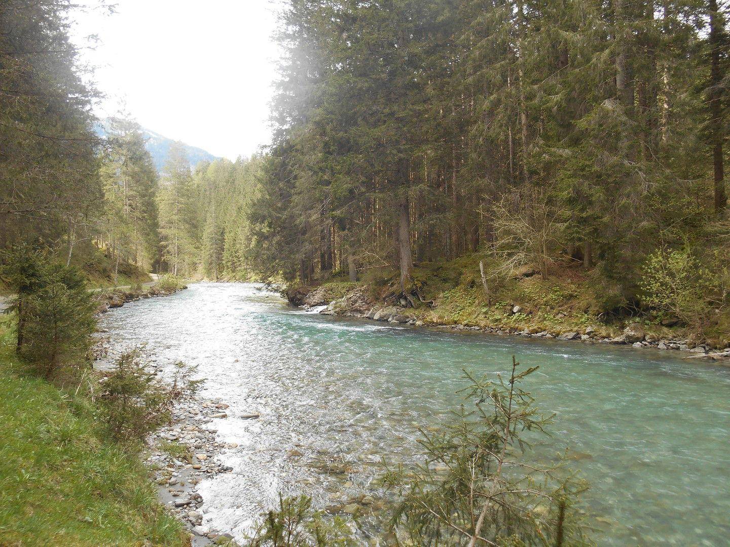 Ein klarer Fluss fließt durch einen dichten Nadelwald unter einem hellen Himmel.
