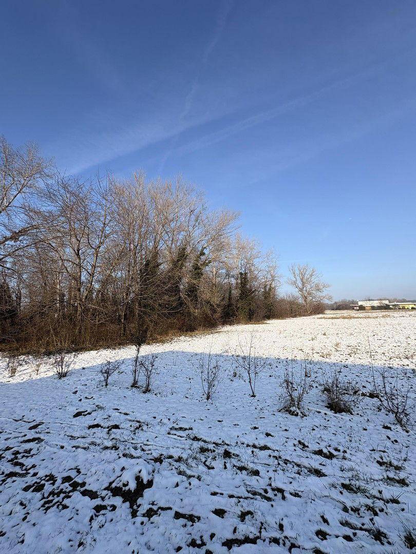 Weitläufige, verschneite Landschaft mit Bäumen am Horizont unter einem klaren Winterhimmel.
