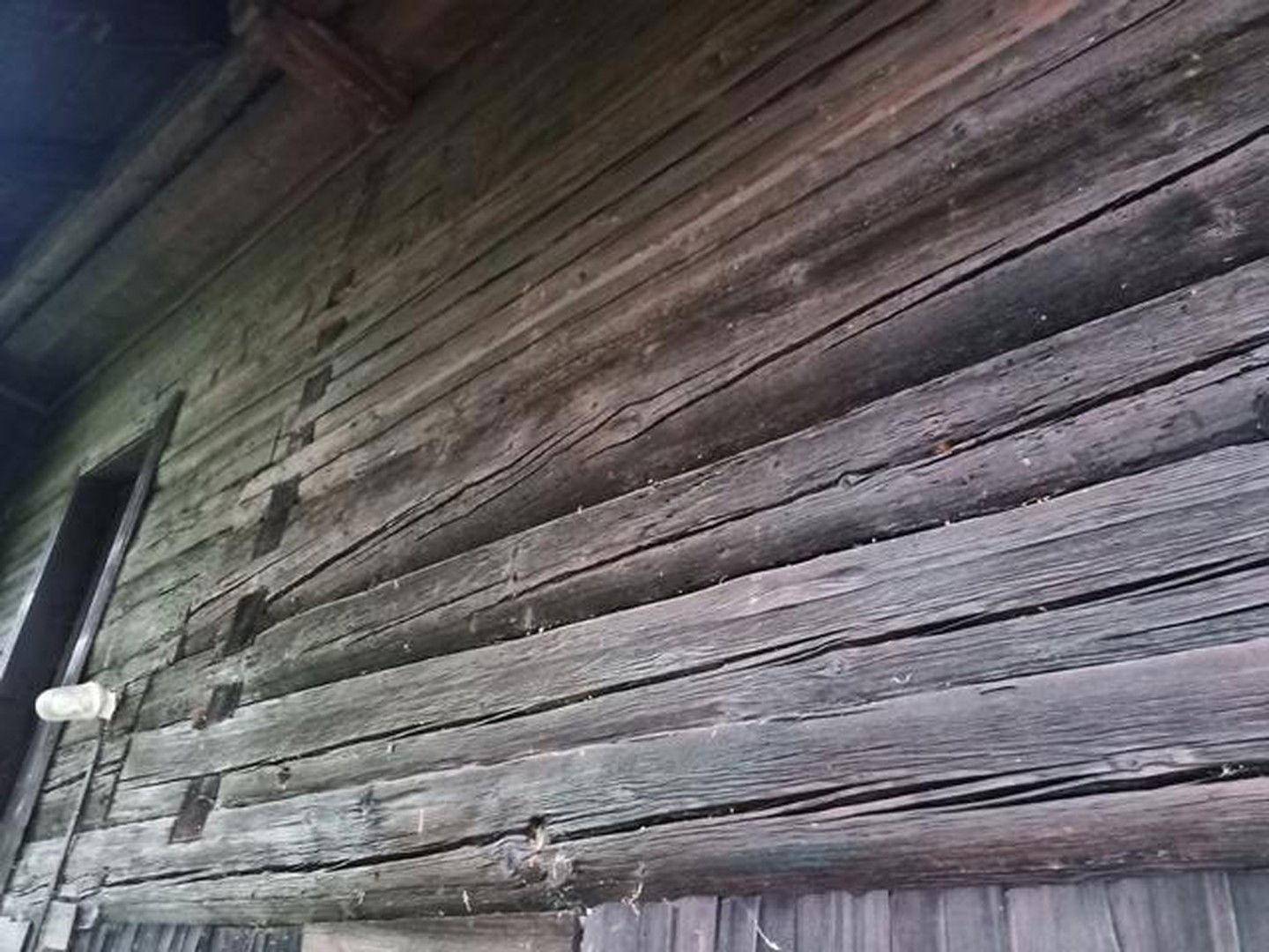 Fassade hinten