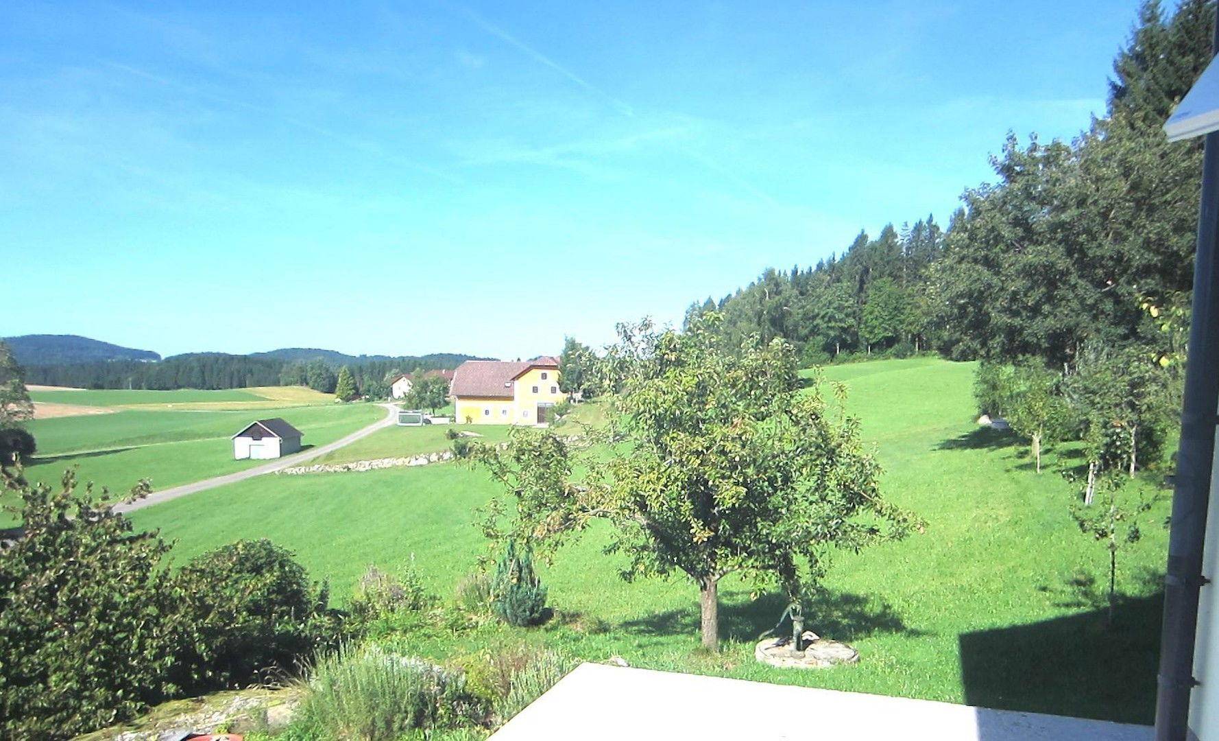 Westblick