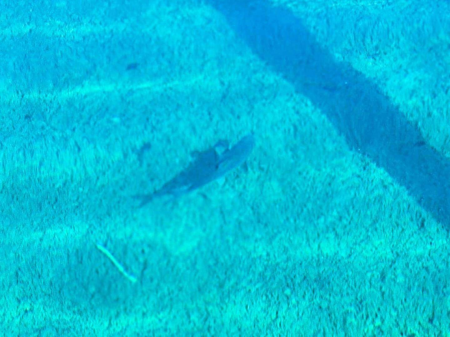 kristallklares Seewasser
