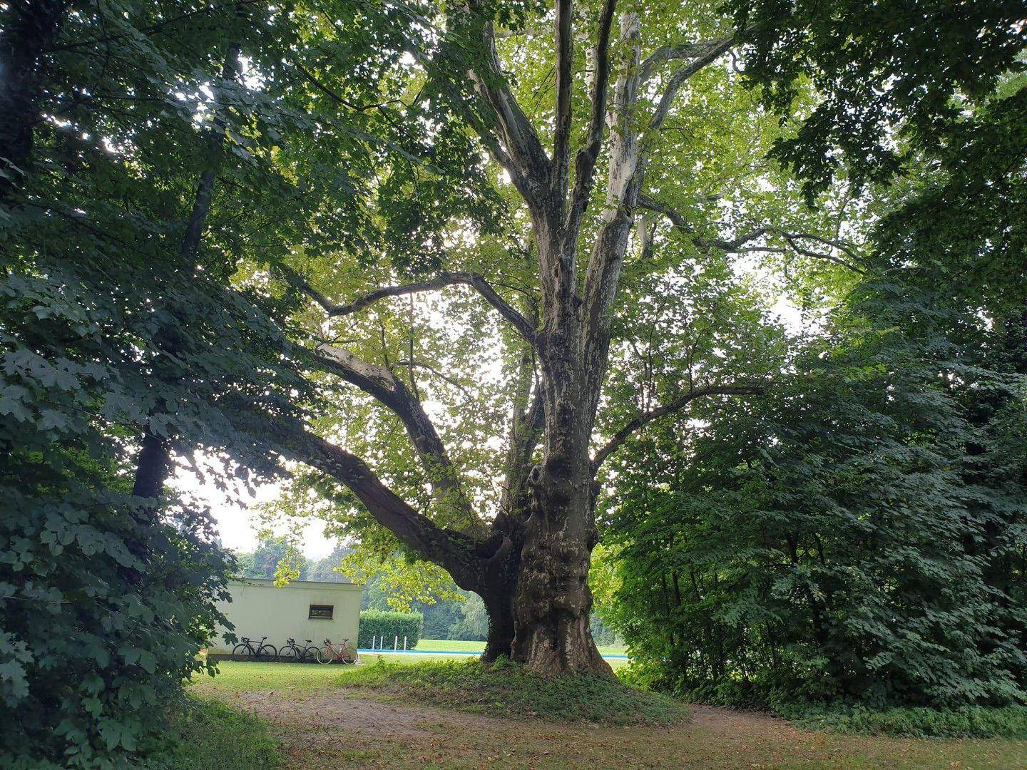 Blick zur Sauna