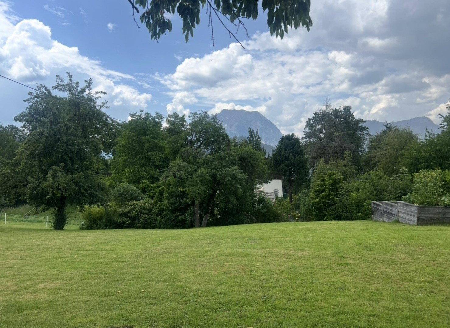 Weitläufige Rasenfläche mit Bäumen und Bergen im Hintergrund unter bewölktem Himmel.
