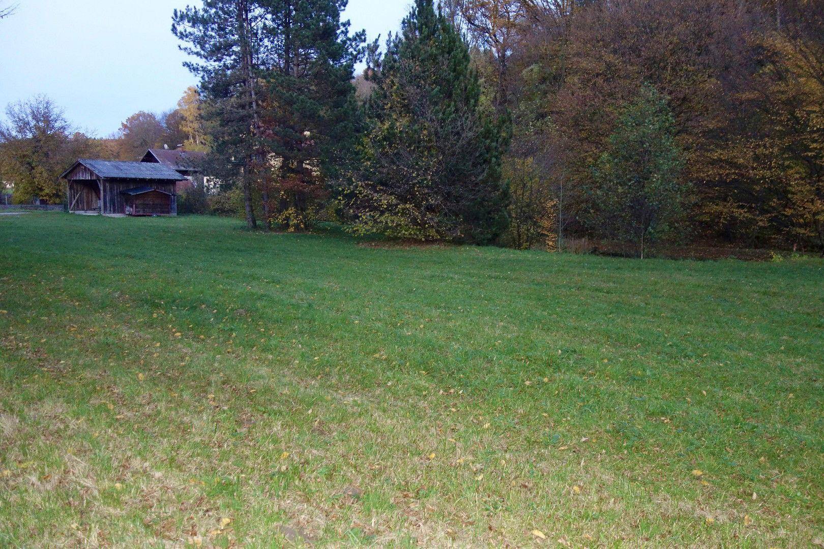 Offene Grünfläche mit einem rustikalen Holzschuppen und hohen Bäumen im Herbstlaub.