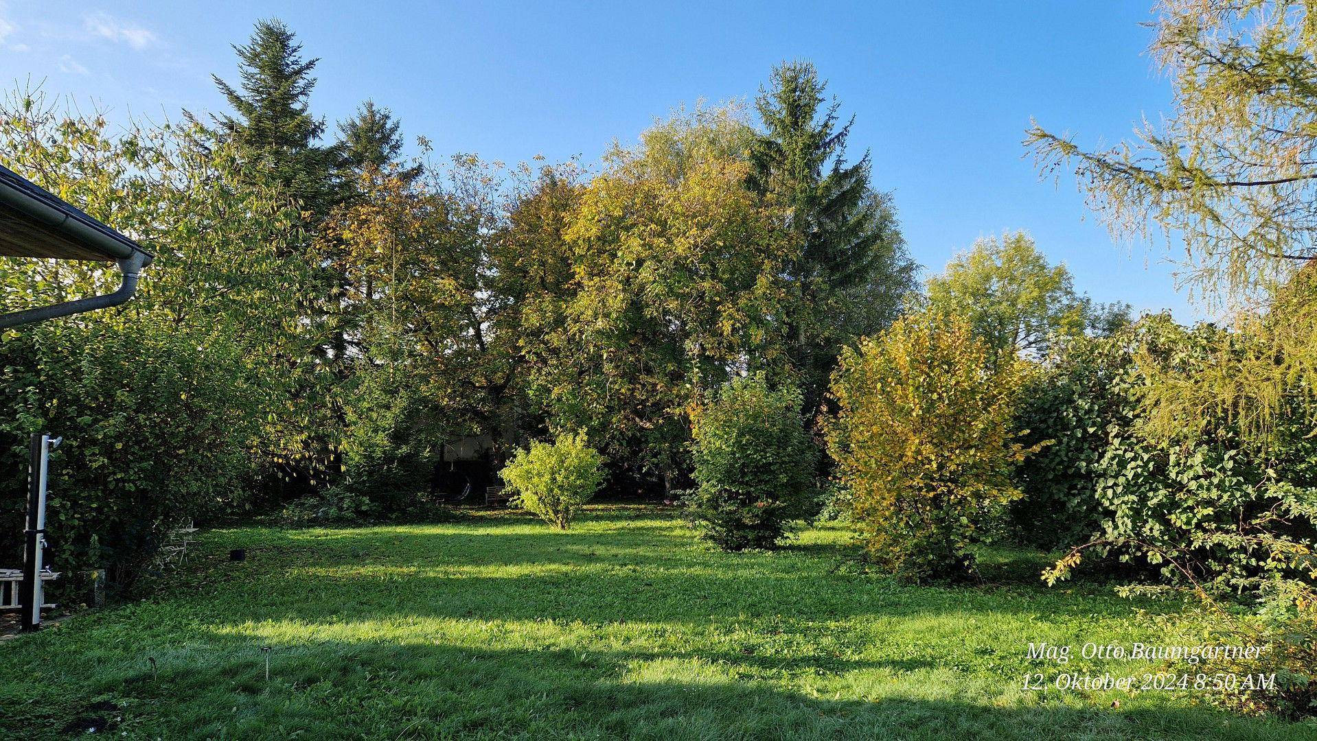 Garten Teil II