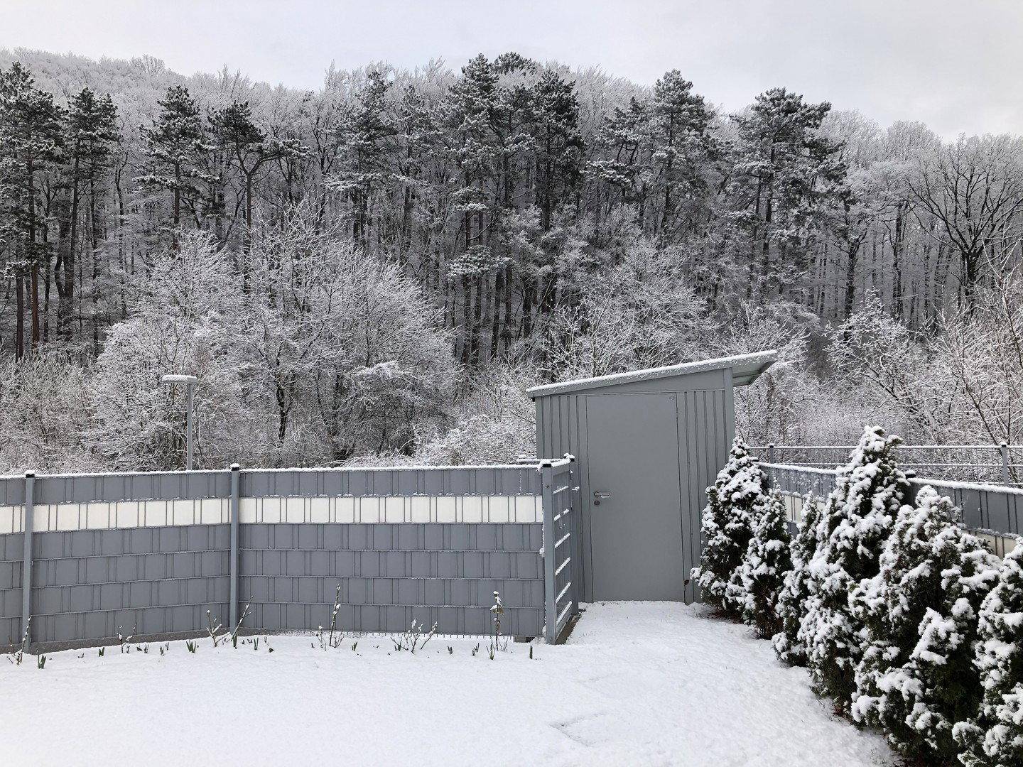 Winterlicher Garten mit schneebedeckten Bäumen und einem kleinen Gartenhaus in idyllischer Landschaft.