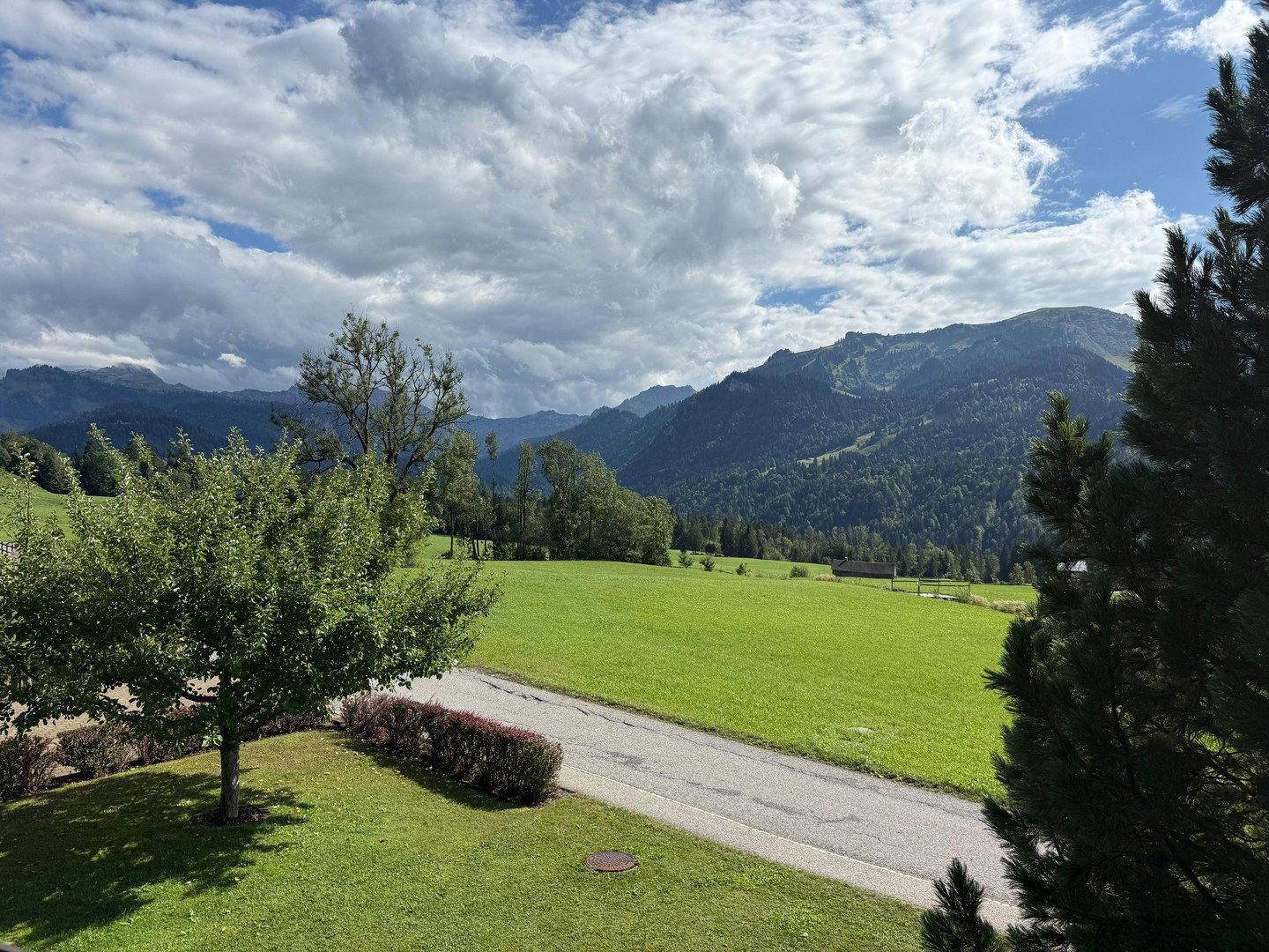 Weitläufiger Blick über grüne Felder und die umliegende Berglandschaft an einem sonnigen Tag.