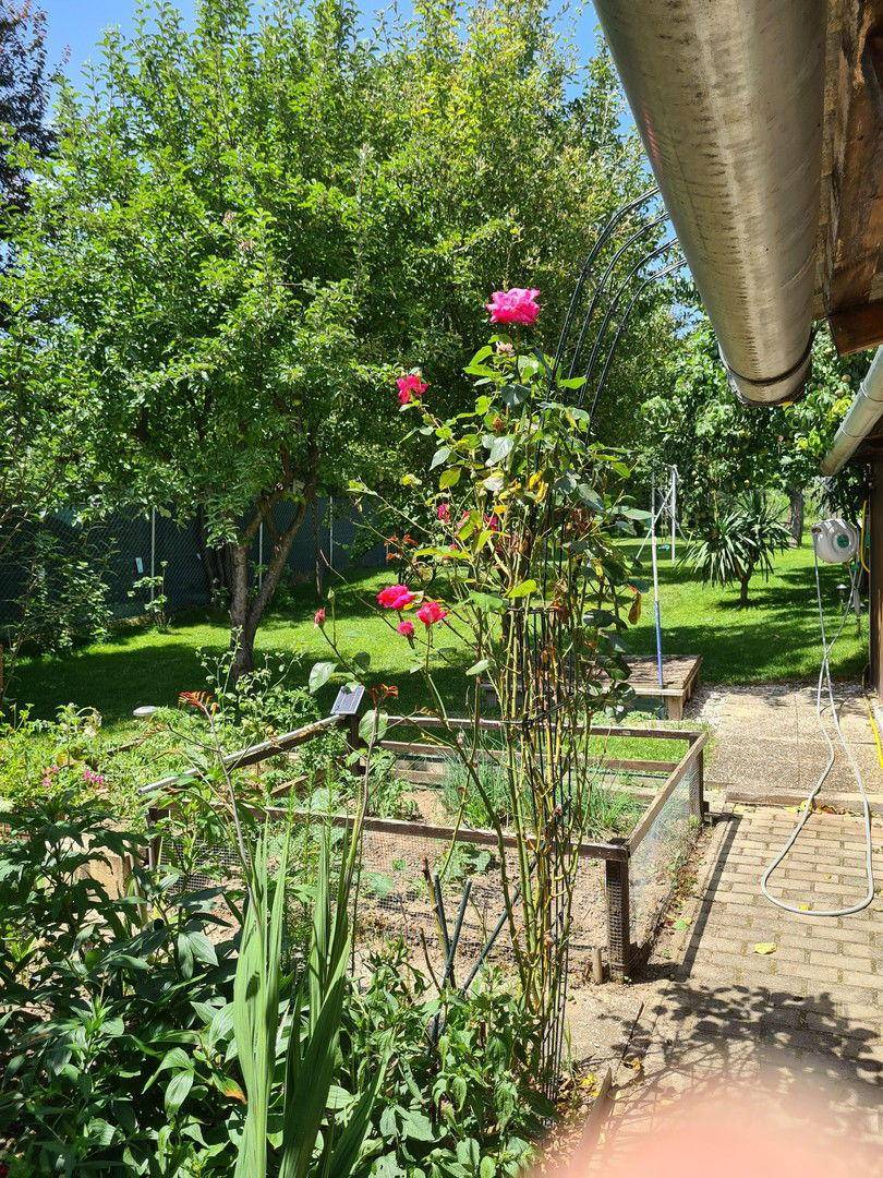 Garten (Bild 1)