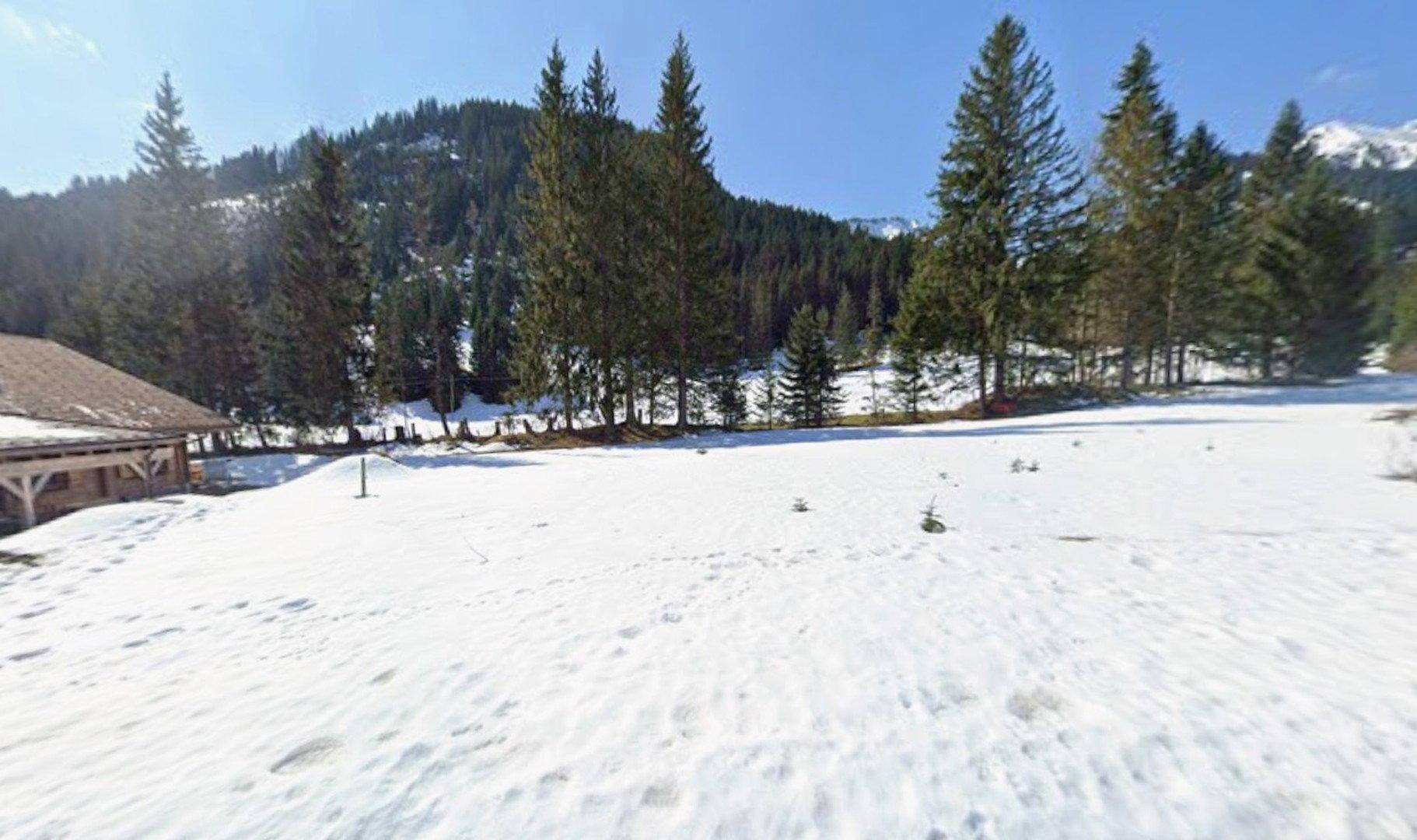 Weitläufiges schneebedecktes Feld mit Nadelbäumen und einer imposanten Bergkette im Hintergrund.