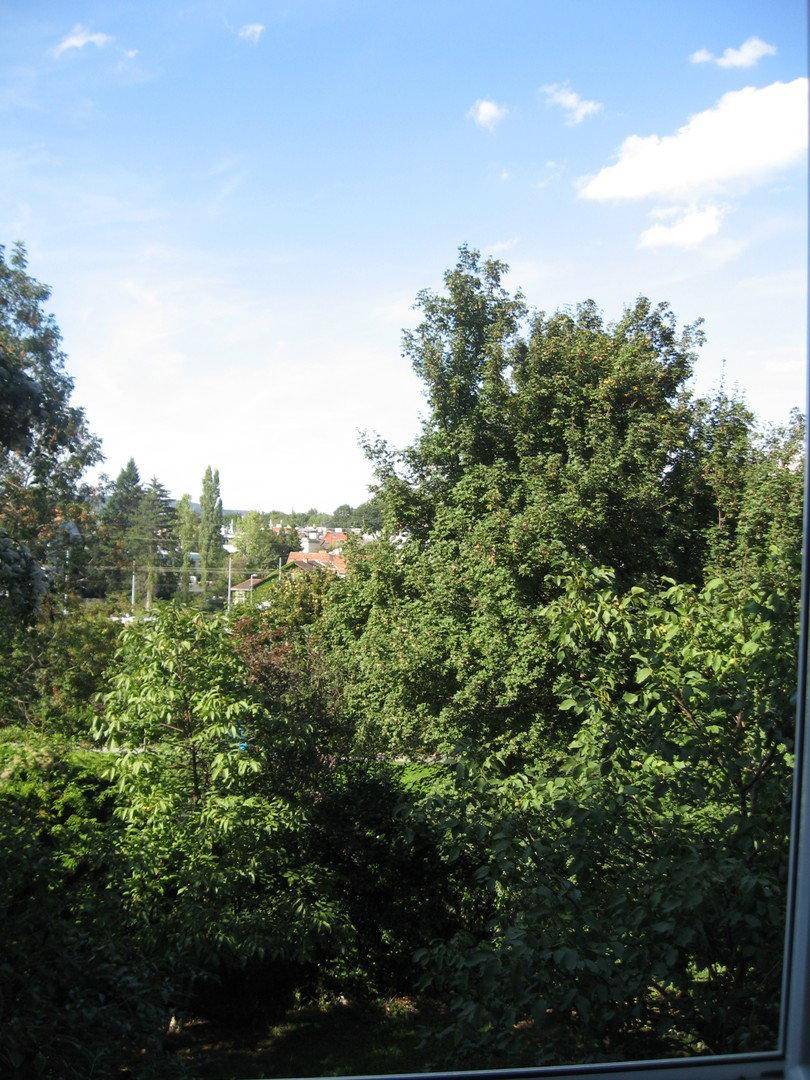 Fenster mit weitem Blick über grüne Bäume und die umliegende Landschaft unter blauem Himmel.