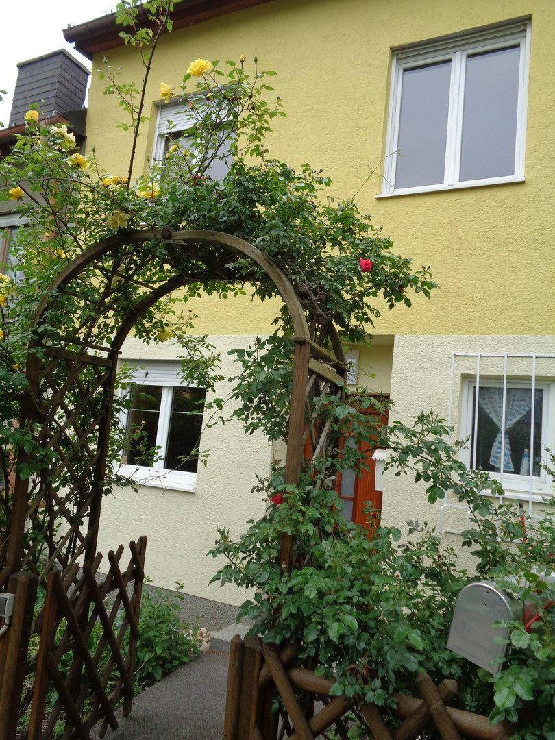 Eingangsbereich mit Vorgarten