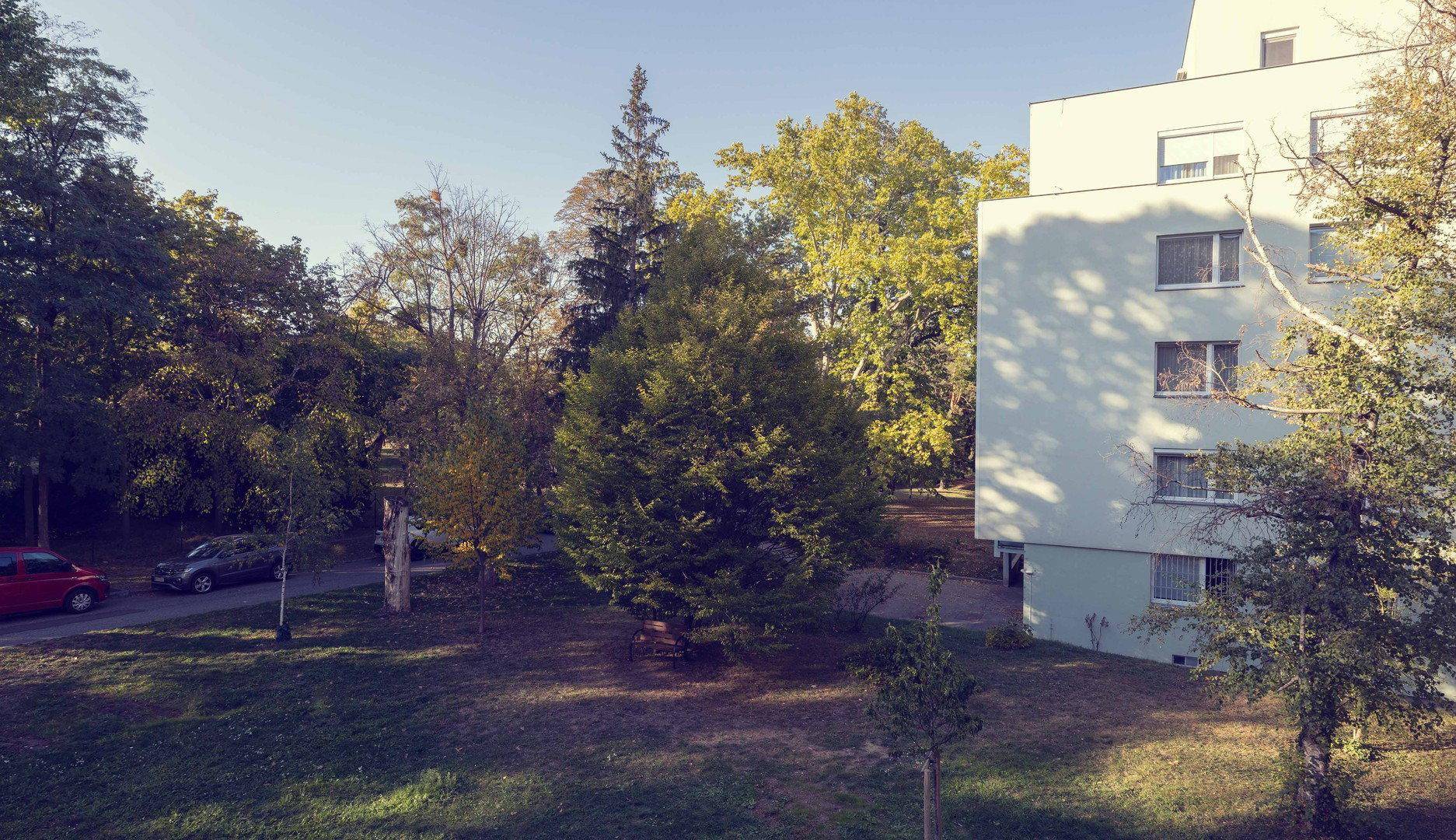 Grüne Außenanlage mit altem Baumbestand und Blick auf das Wohngebäude.