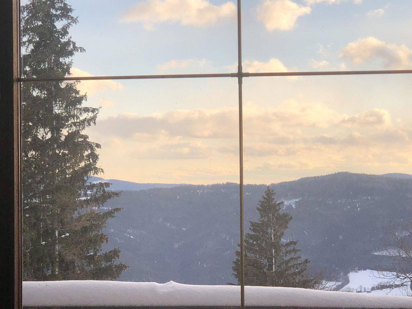 Winterlicher Ausblick aus dem Fenster auf verschneite Bäume und die umliegende Berglandschaft.