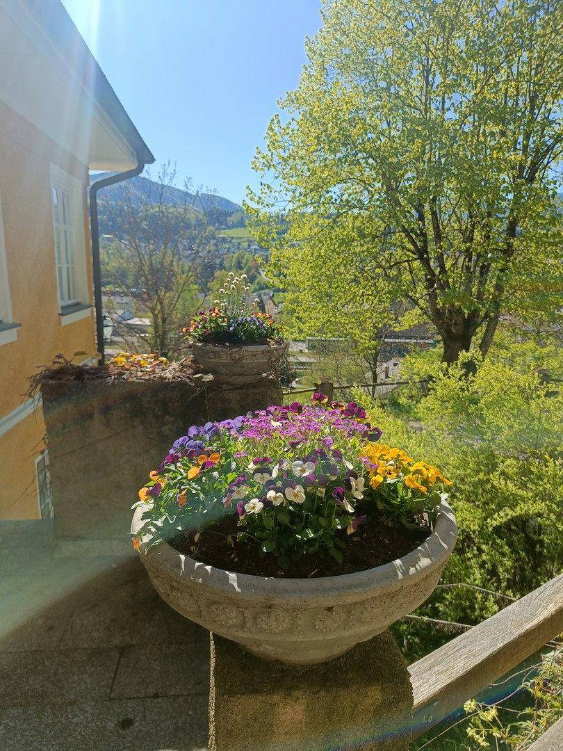 Bunte Blumen in Töpfen schmücken den Balkon mit weitem Blick auf die grüne Landschaft.
