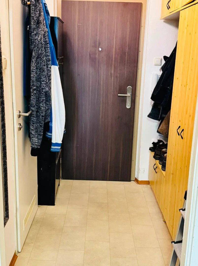 Eingangsbereich mit Holztür, Garderobe und Schuhschränken an der Seite.