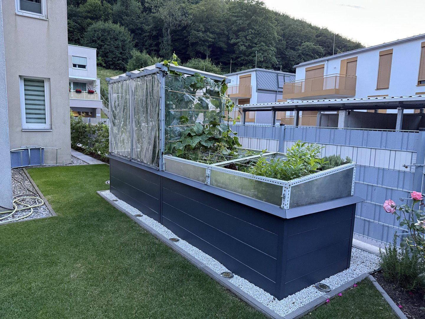 Modernes Hochbeet mit verschiedenen Pflanzen und einer Abdeckung für optimales Wachstum im Garten.