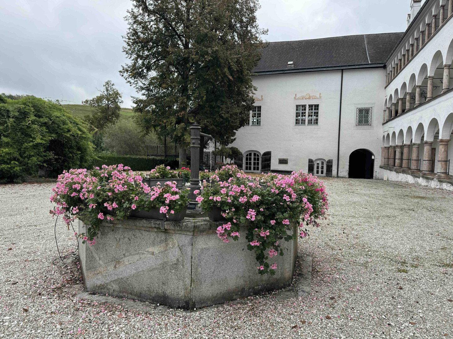 Historischer Innenhof mit einem Brunnen, Blumenbeeten und einem großen Baum.