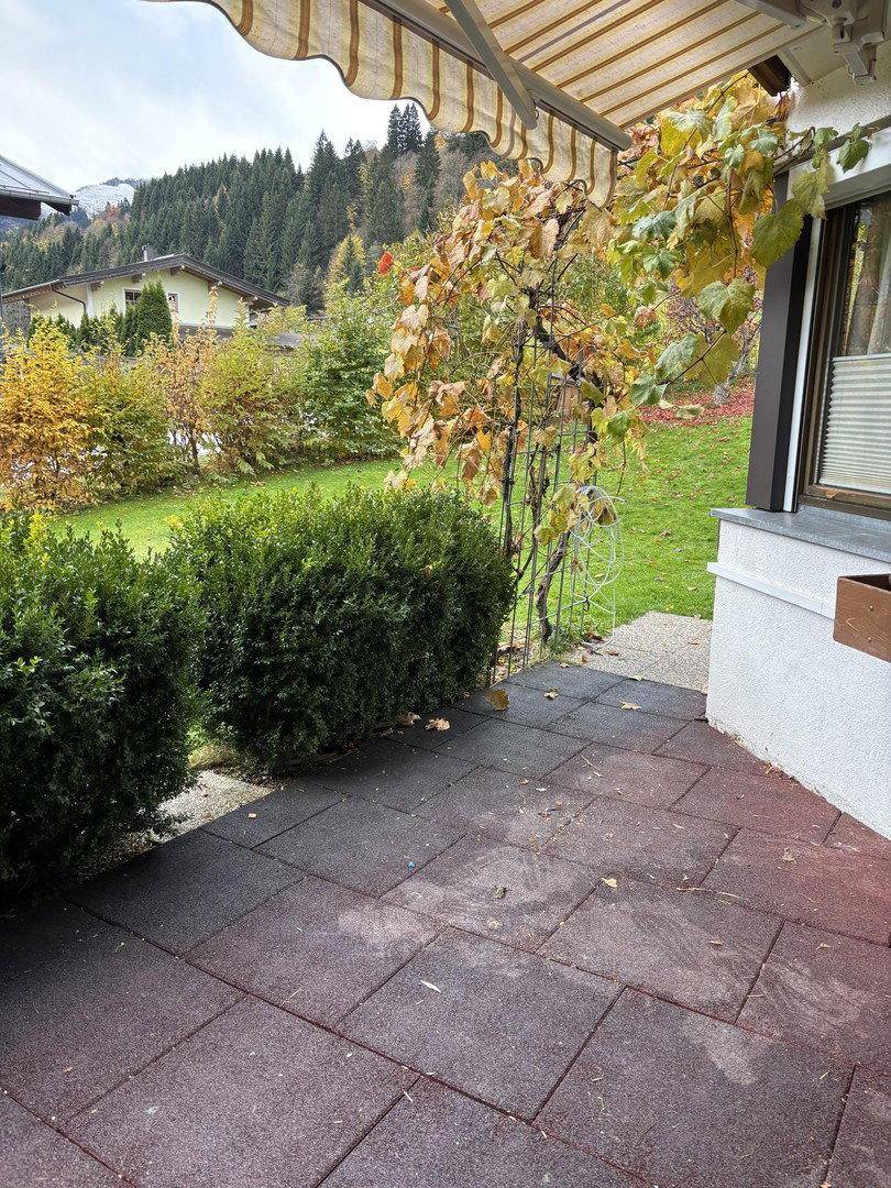 Gepflasterte Terrasse mit Markise, Weinreben und Blick auf einen grünen Garten mit herbstlichen Bäumen.