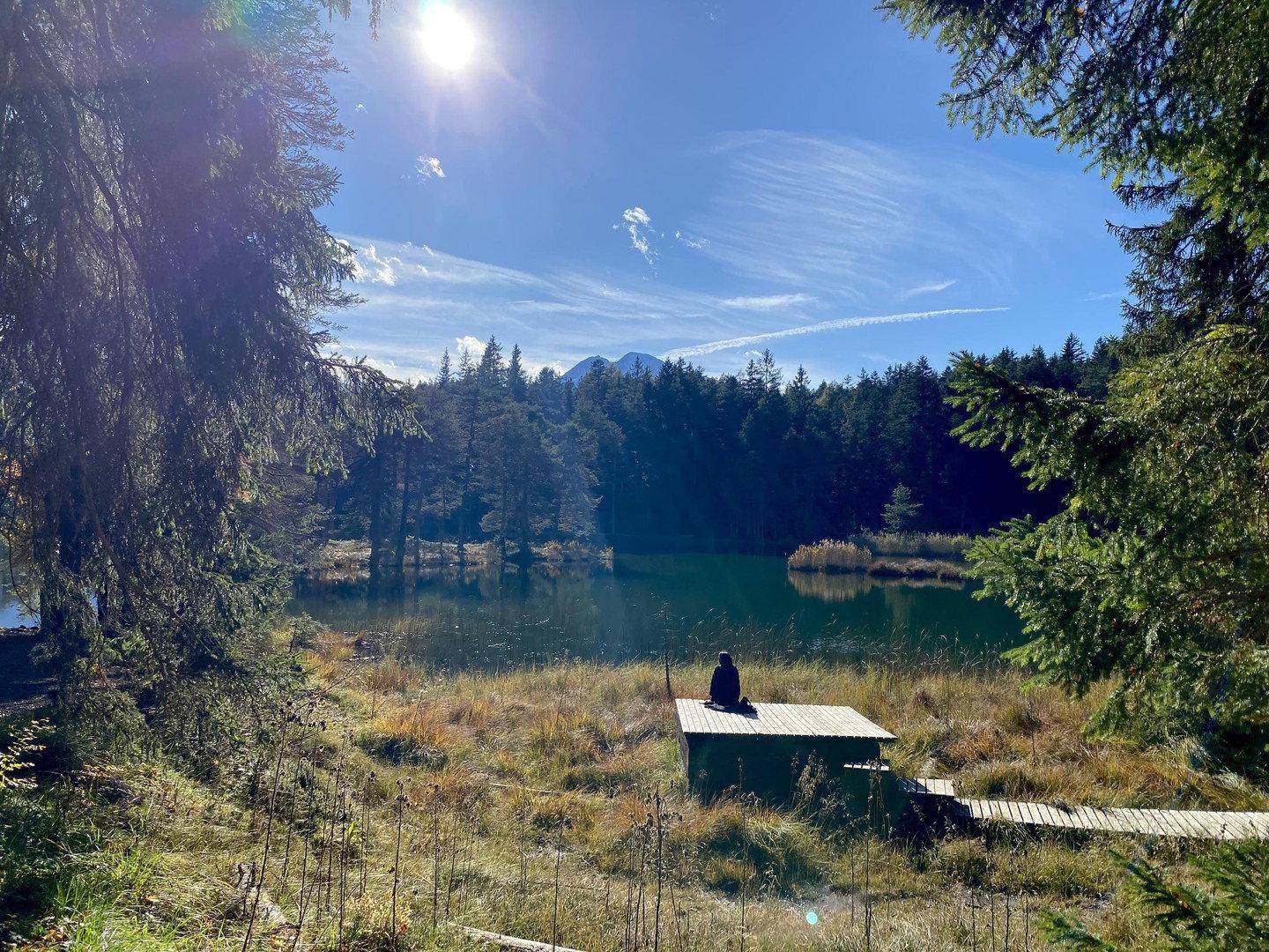 Idyllischer See umgeben von Nadelbäumen mit einem kleinen Steg.
