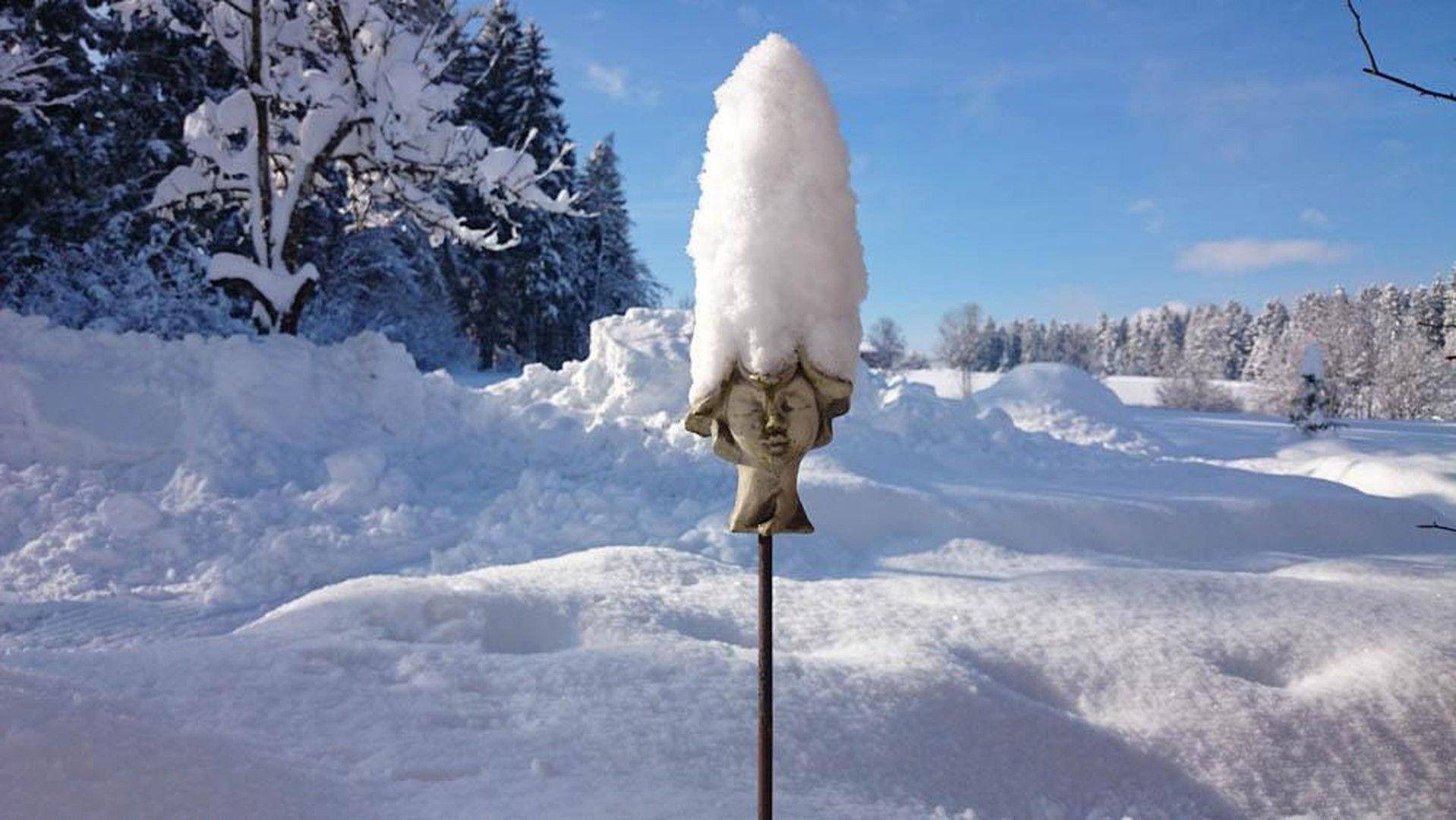 Winter im Garten