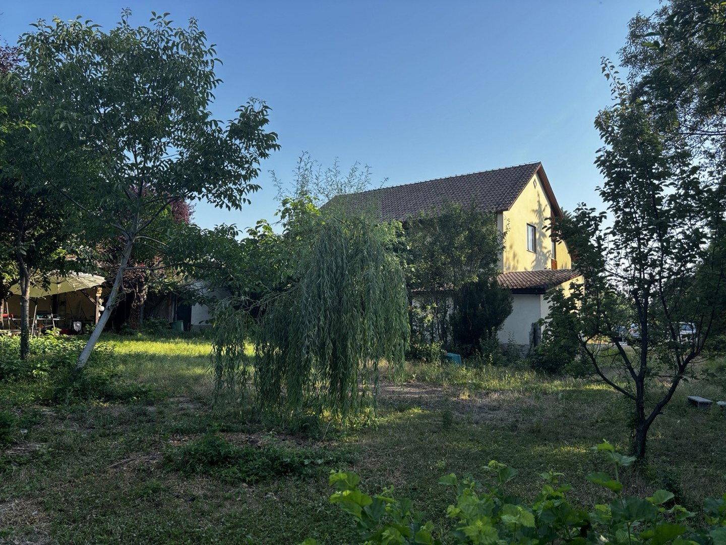 Großzügiger Garten mit altem Baumbestand und Blick auf das Wohnhaus.