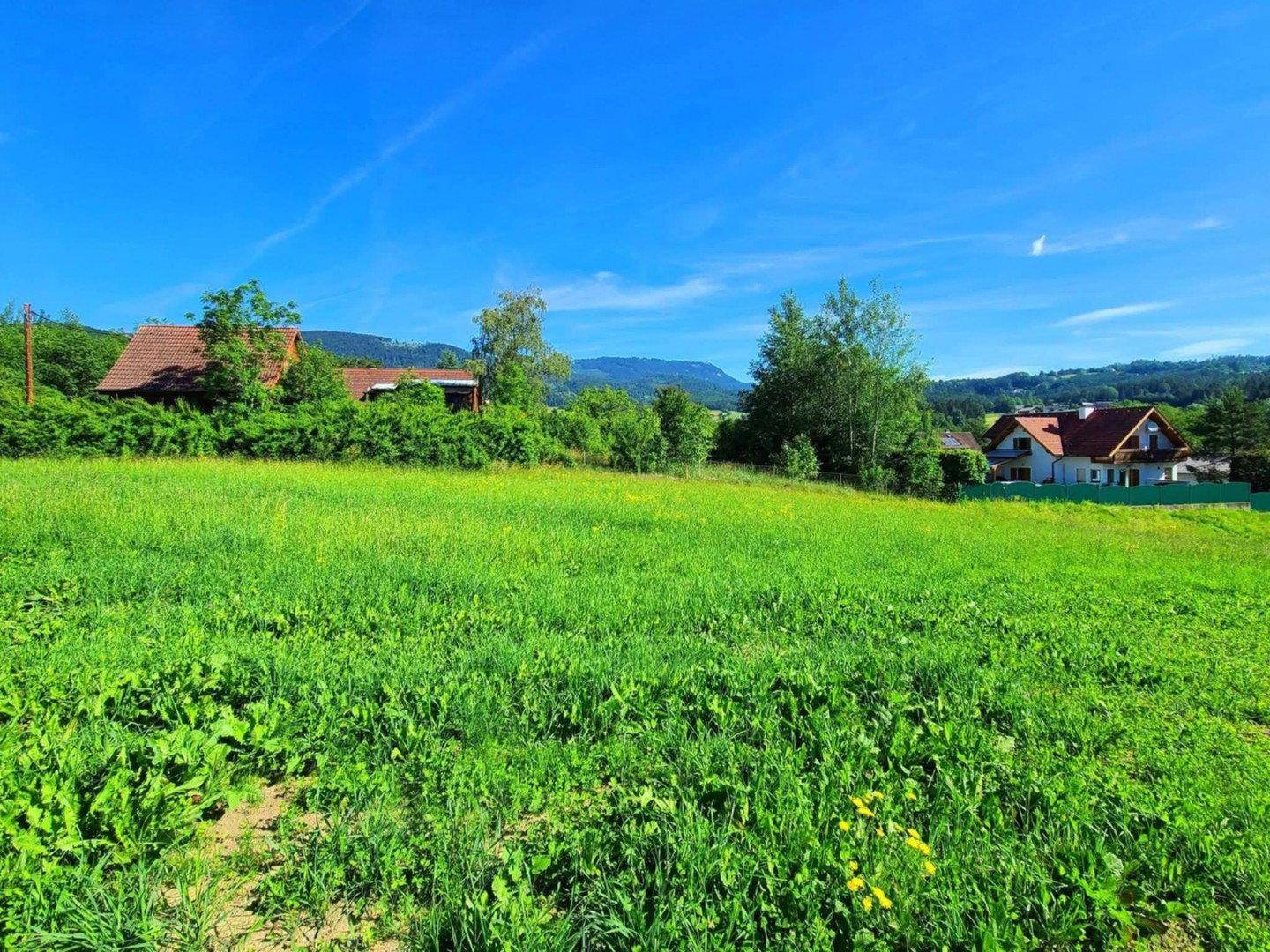 Offene grüne Wiese mit Wohnhäusern und bewaldeten Bergen am Horizont.