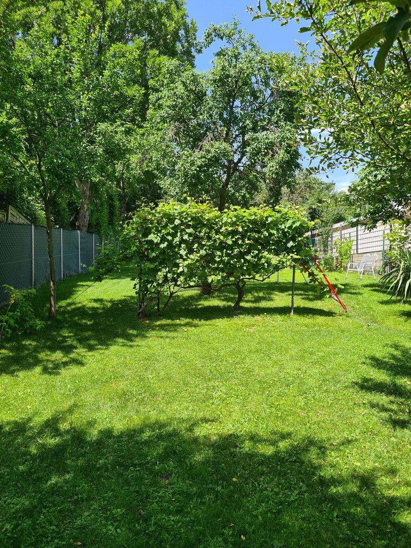 Garten (Bild 2)