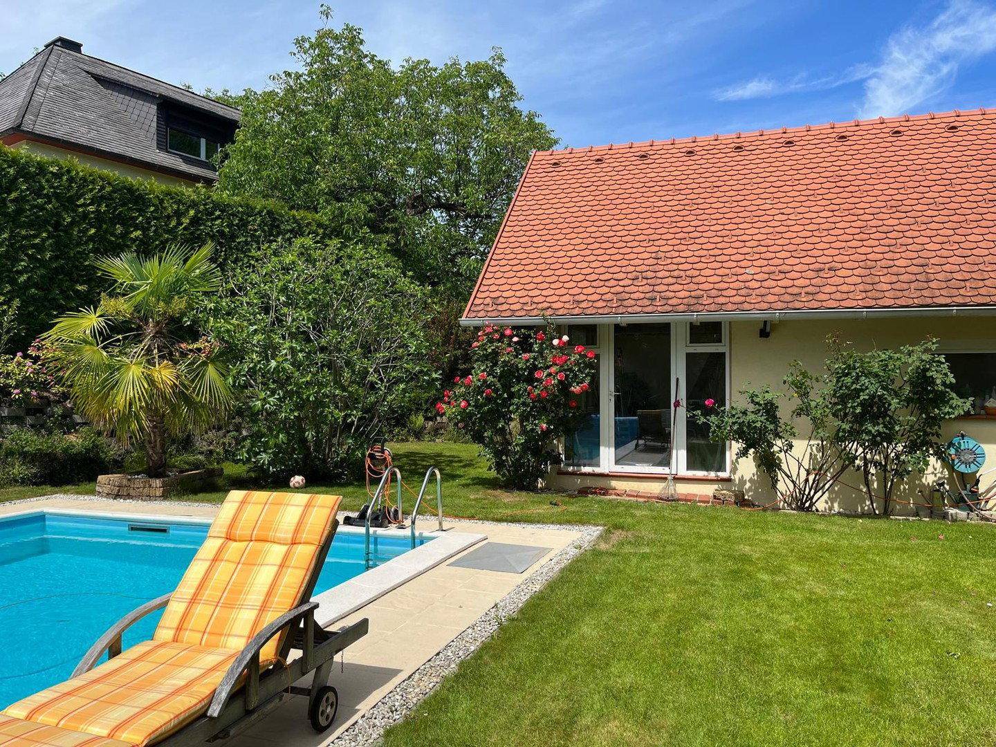 Sonniger Garten mit Pool, Liegestuhl und blühenden Rosen vor der Hausfassade unter blauem Himmel.