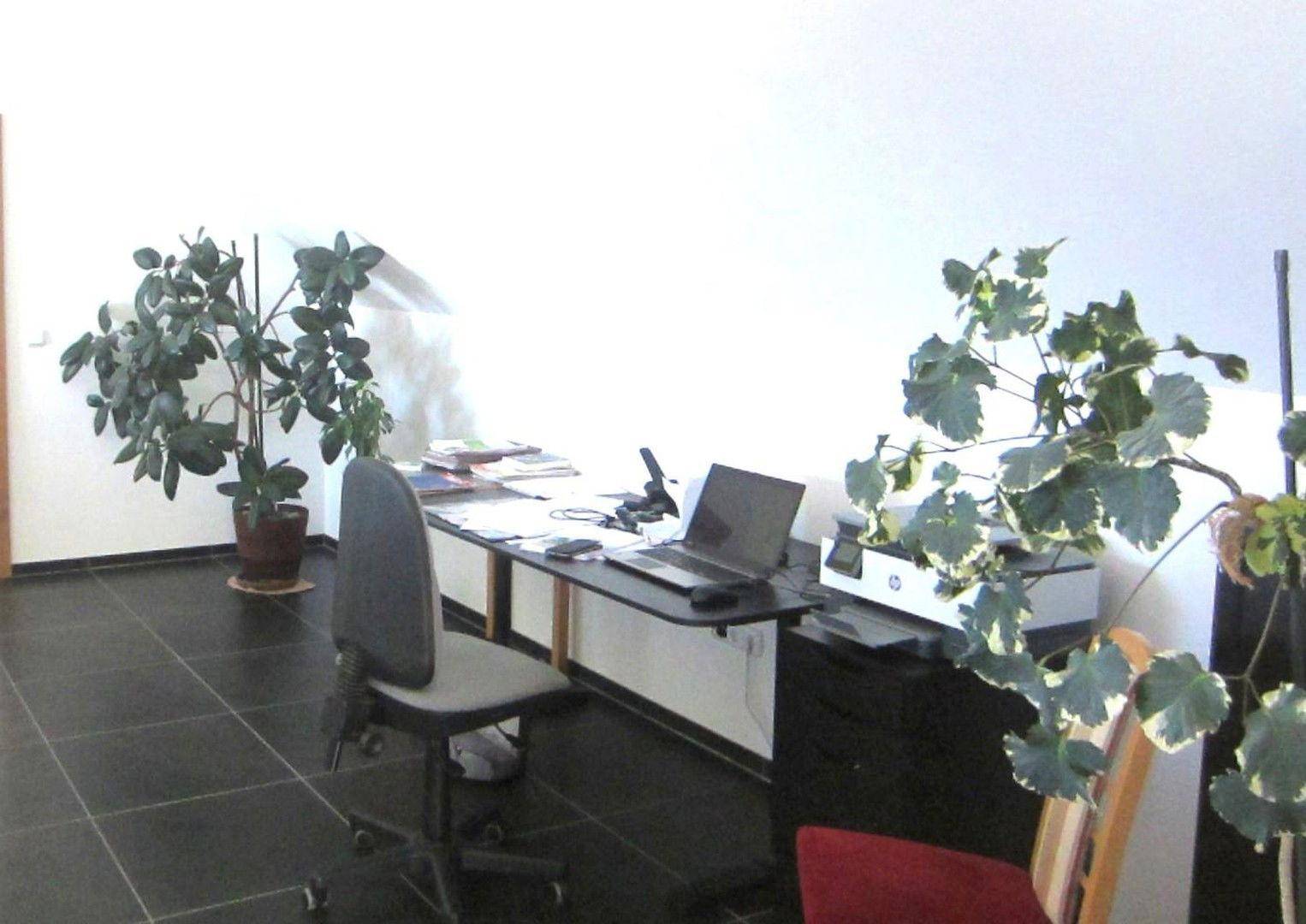 Büro Galerie