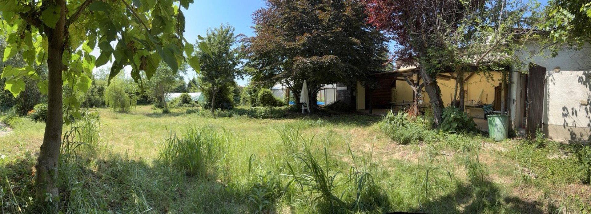 Weitläufiger Garten mit Rasenfläche und verschiedenen Bäumen unter blauem Himmel.