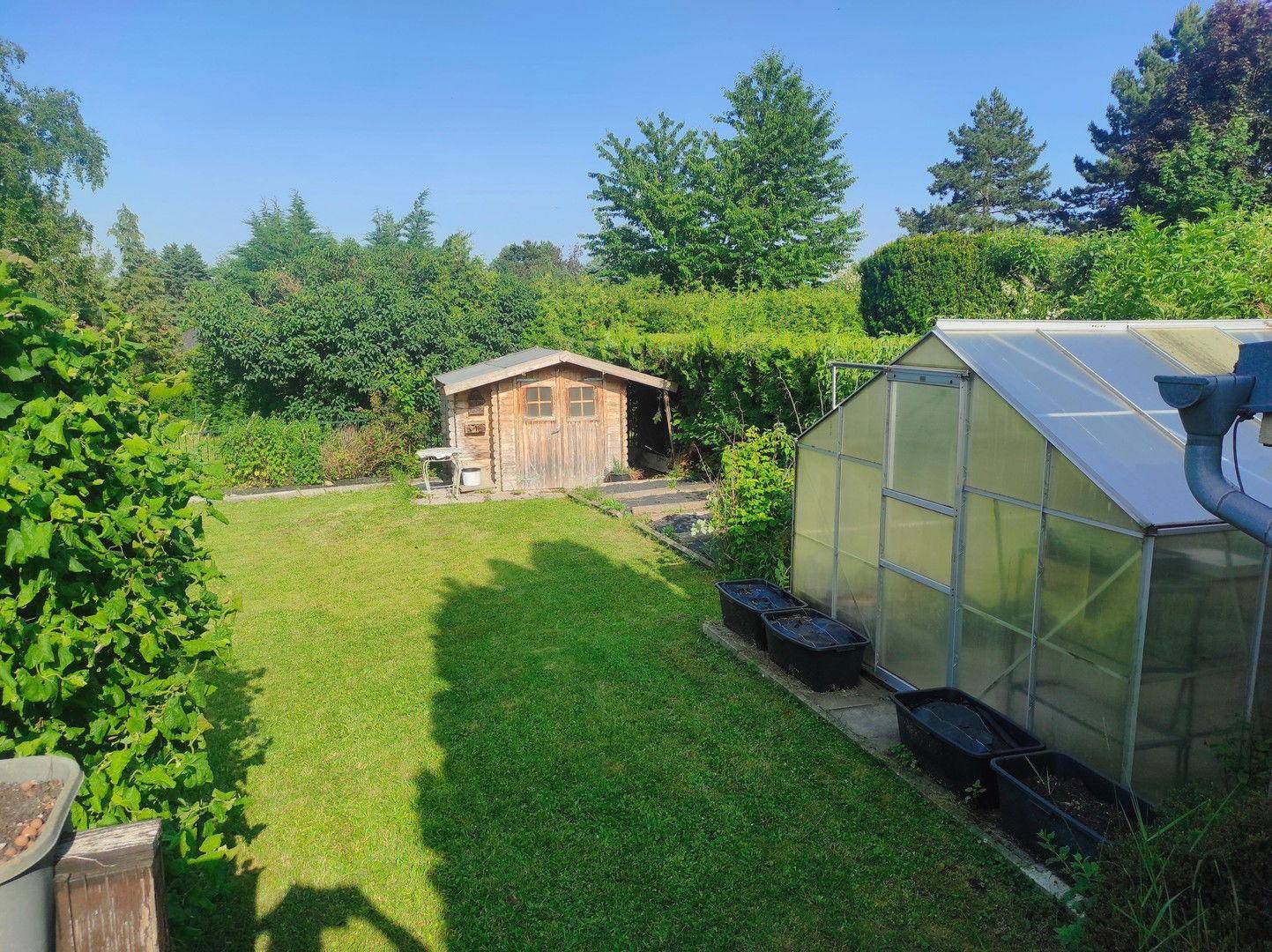 Garten 1